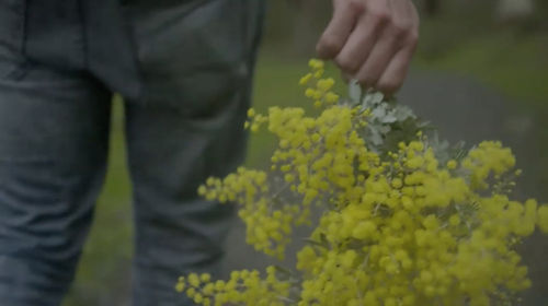 James Tylor: TARNANTHI 2015, Art Gallery of South Australia