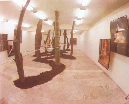 Франциско Инфантэ, Машина в лесу