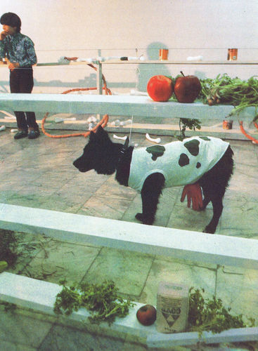 Вадим Фишкин, Между собакой и коровой