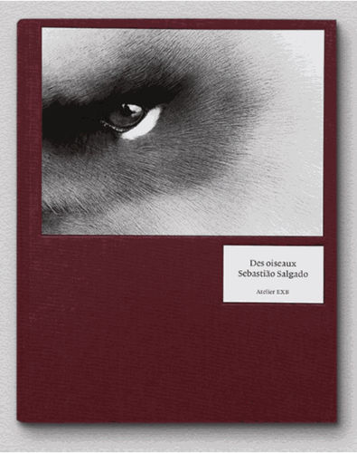 Sebastião Salgado, Des oiseaux
