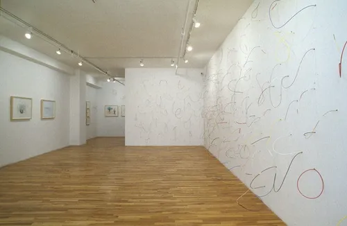 Circuits tubulaires: Marie-Josée Laframboise