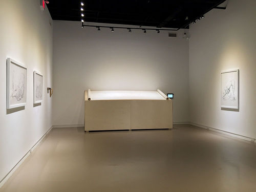 Naomi Cook @ Centre Space (Toronto), Allegory Algorithm