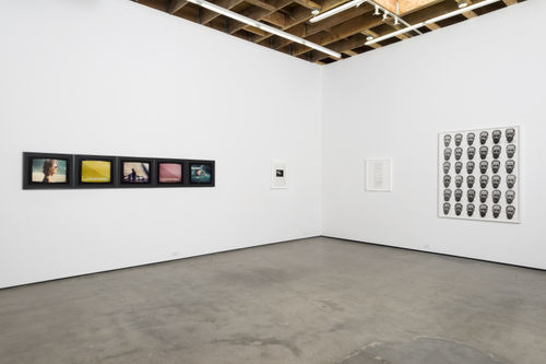 Photography and Language, Lew Thomas, Hal Fischer, Peter d'Agostino, Donna-Lee Phillips