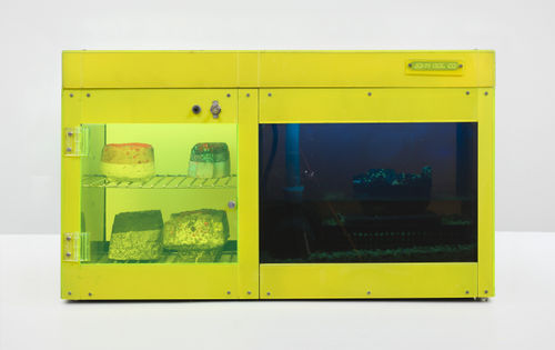 Carl Cheng, "Erosion Machine No. 3" (1969). Plexiglas, metal racks and fittings, plastic, water pump, LED lights, black light, pebbles, 4 erosion rocks, wood base, 15 x 25 x 9 inches.