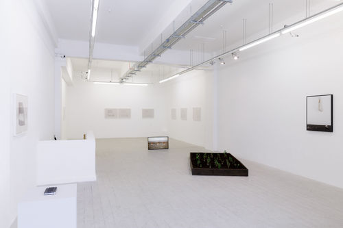 Fatma Bucak, Sticks and Stones