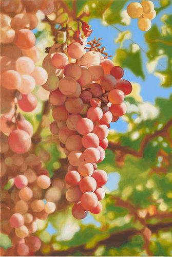 Mustafa Hulusi, Cyprus Realism (Verigo Grape 4) , Oil on canvas, 76 x 51 cm