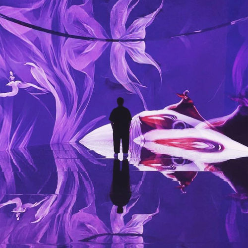 REFİK ANADOL'S "RUMİ'S DREAMS" AT ATATÜRK CULTURAL CENTER