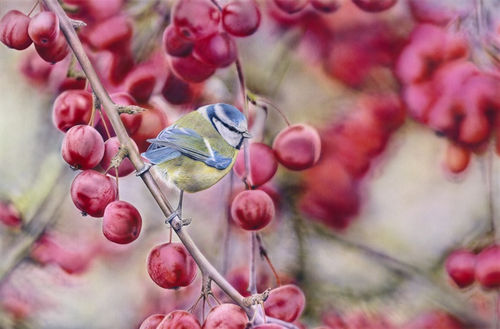 Nature's Greatest, Highly recommended Duo Show from the two foremost hyperrealist water colour painters in the world: Adrian Smart &...