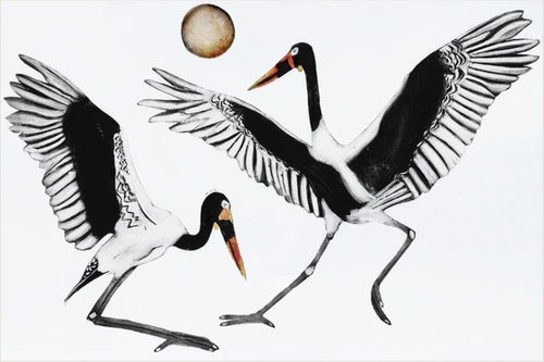 'Saddle-billed storks'
