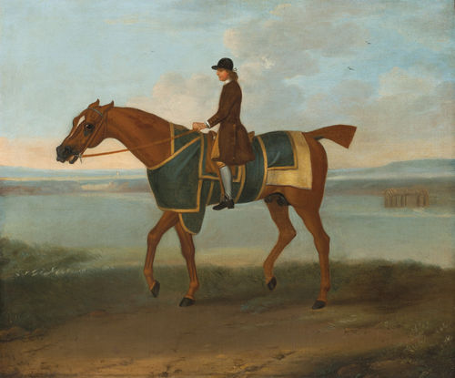 'The Wellgap' Newmarket