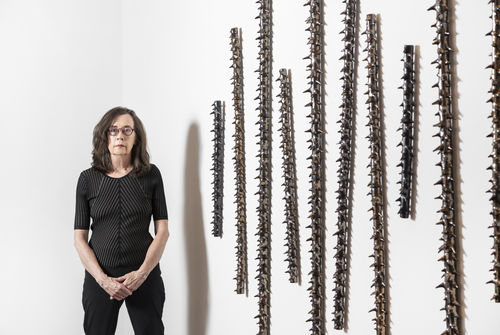 Image courtesy of Saul Steed and AGSA