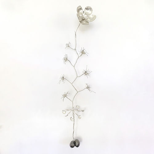 2021 York Botanic Art prize Finalist