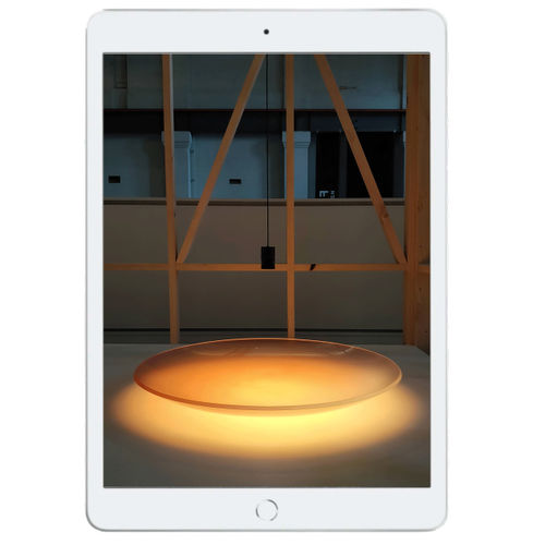 AN OWL IN THE MIRROR AND OTHER HYBRIDS FOR THE FUTURE HOME