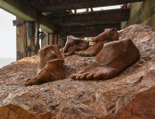 Dorothy Cross, Rememory | 25th Biennale of Sydney