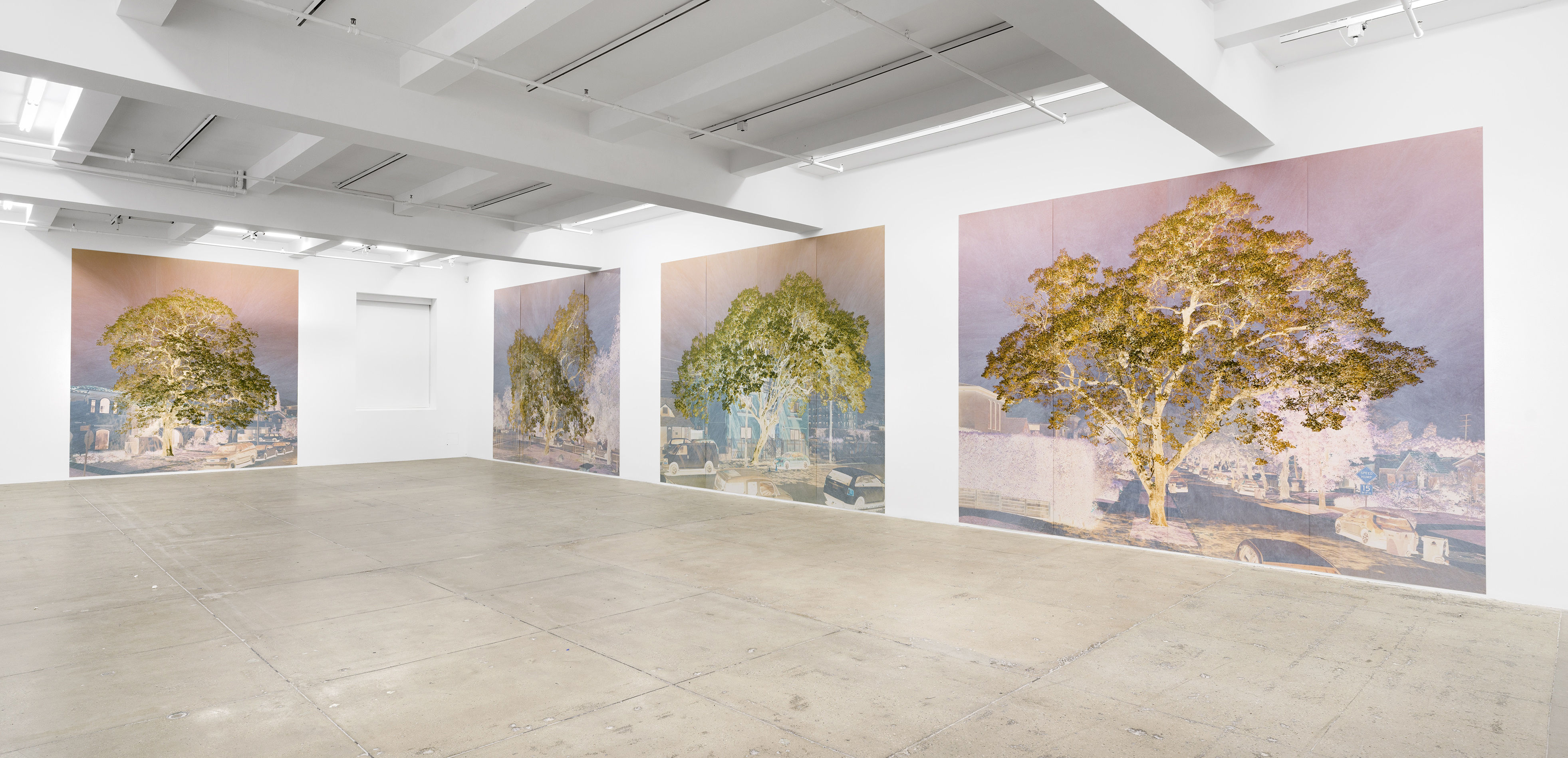 Installation view, 4th Floor, New York