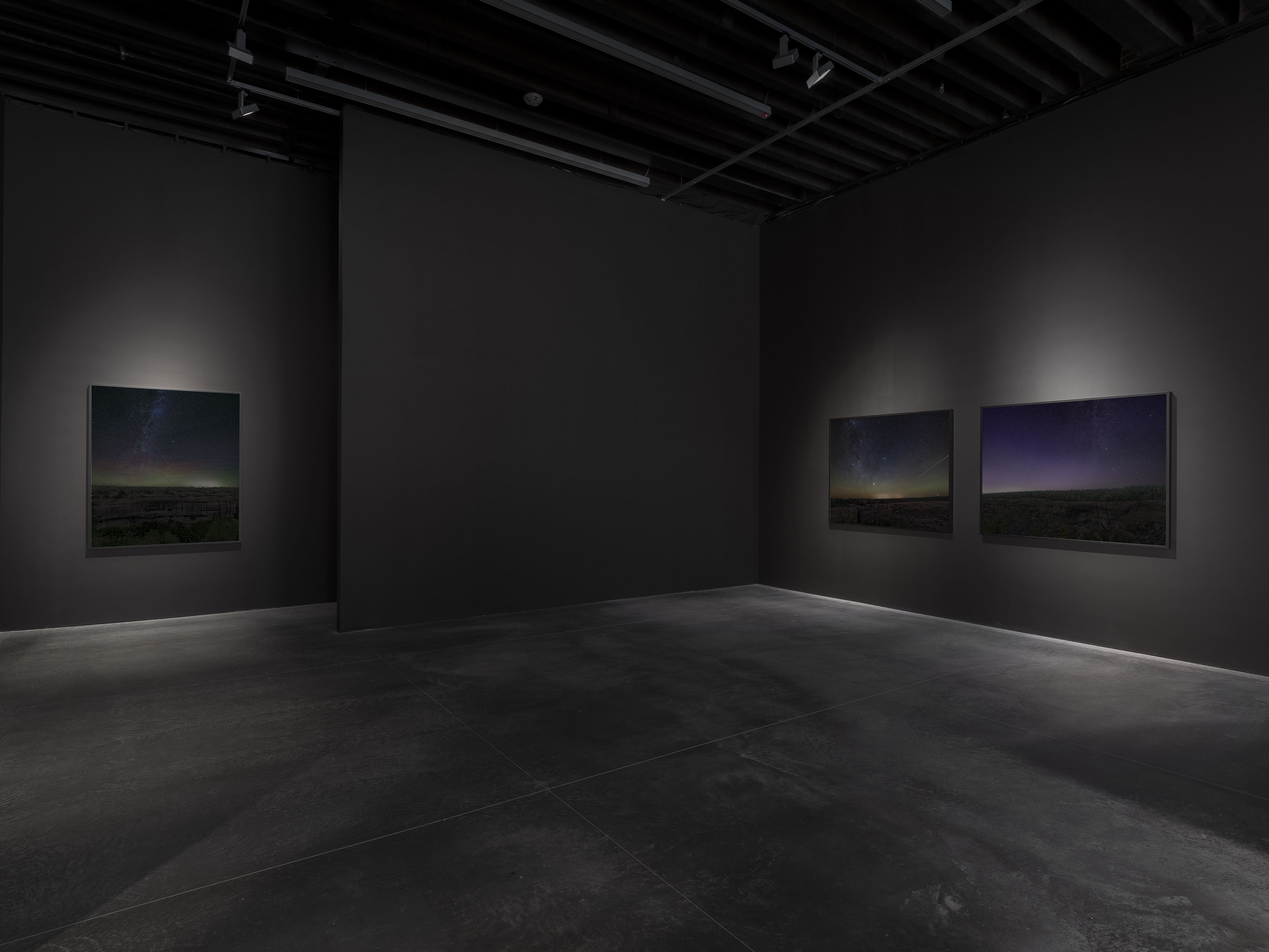 installation view of An-My Lê: Dark Star/Grey Wolf at Marian Goodman Gallery New York