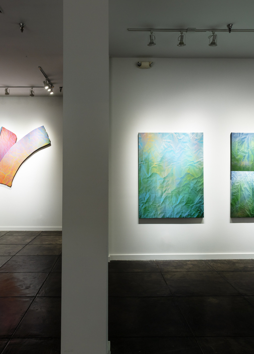 Bonnie Maygarden | Too Close to the Sun