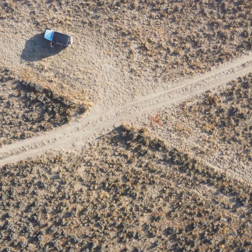 Brie Ruais' Desert Magic