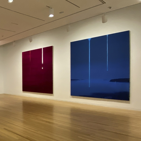 Winnipeg artist Wanda Koop’s Dreamline opens at Dallas Museum of Art