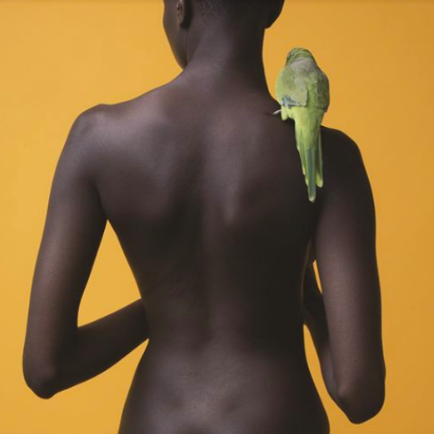 Awol Erizku at Expo Chicago in Galerie Magazine