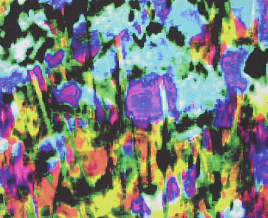 Annelies Štrba, Nyima 175, 2004