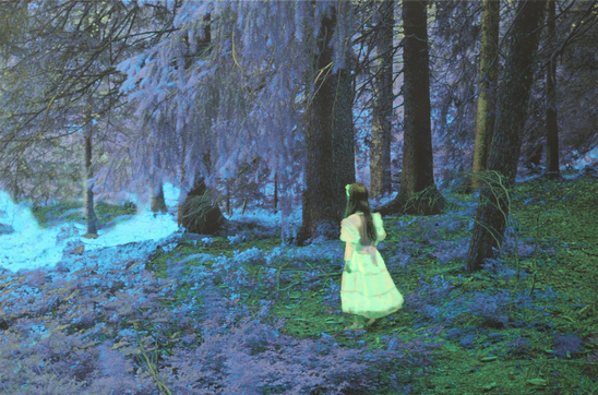 Annelies Štrba, Nyima 279, Wonder, 2008