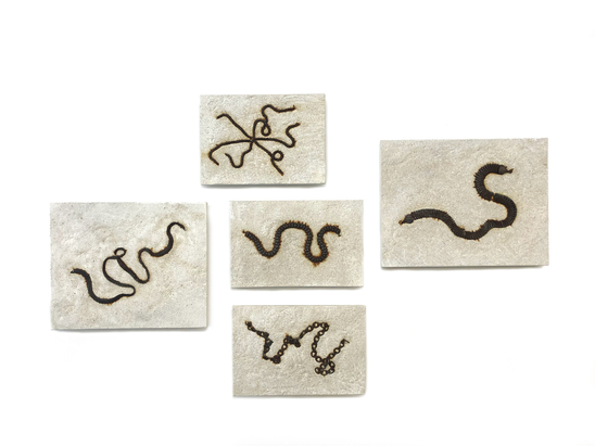 Patick Schätti Fossile 2019