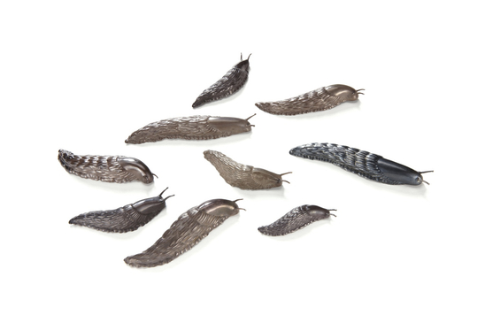 David Bielander: Carte blanche to David Bielander