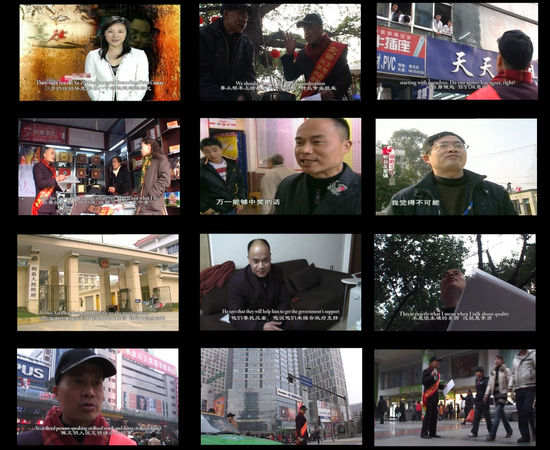 陈秋林 Chen Qiulin, 关于徐昭华的梦想 The Dream of Xu Zhaohua, 2008