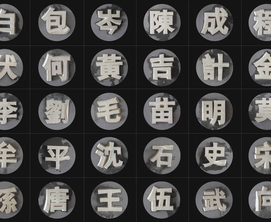 陈秋林 Chen Qiulin, 百家姓 One Hundred Names, 2004-2014