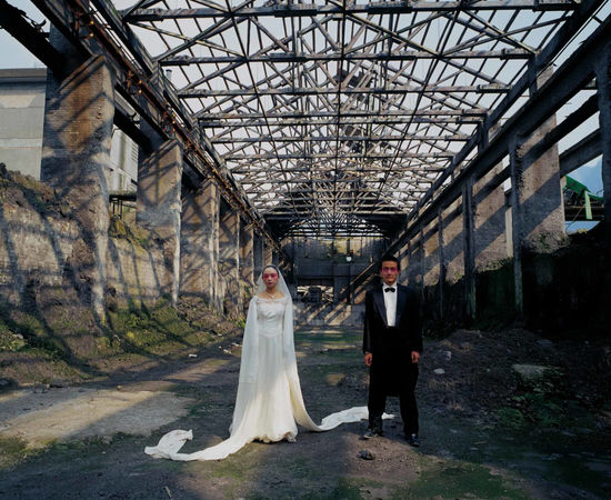 陈秋林 Chen Qiulin, 桃花 Peach Blossom, 2009