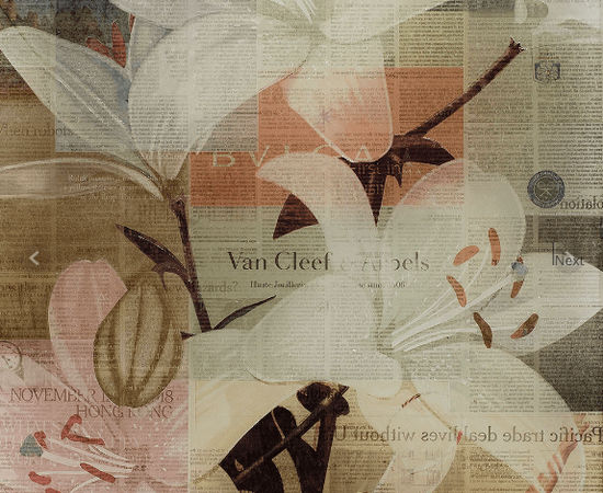 Martijn Hesseling, Flowers I - Lilies