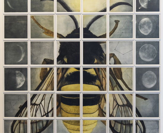 Tanujaa Rane, Metamorphosis (In search of light), 2019