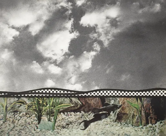 Roy Lichtenstein, Fish and Sky , 1967