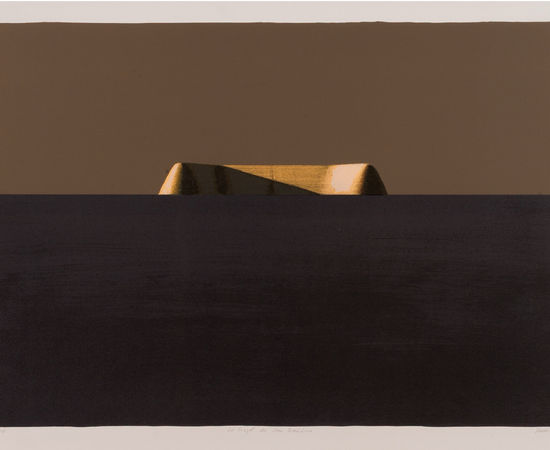 Horia Damian, Le Projet de San Francisco, 1984