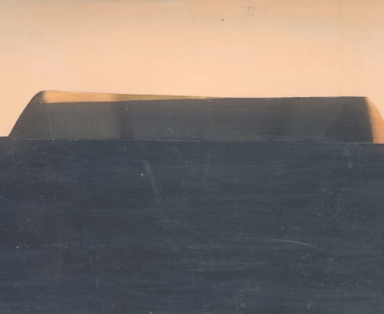 Horia Damian, San Franciscoau Zenith