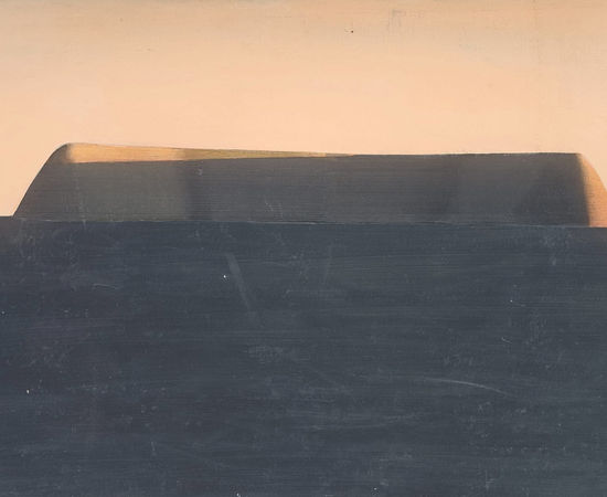 Horia Damian, San Franciscoau Zenith