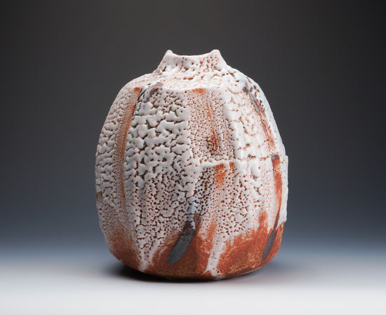 Hayashi Shotaro 林正太郎, Shino jar