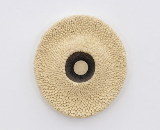 Ayla Tavares, Coral, 2024