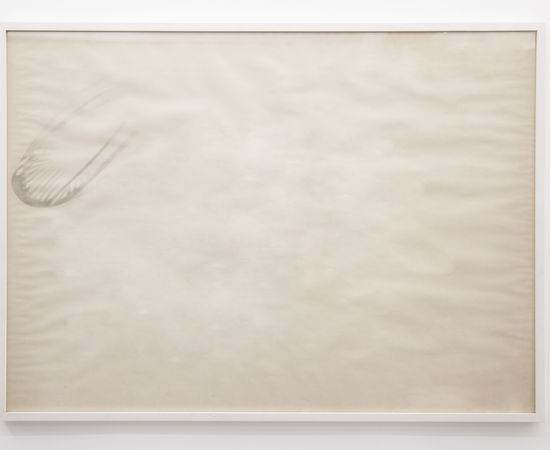 Sonia Andrade, Sem título