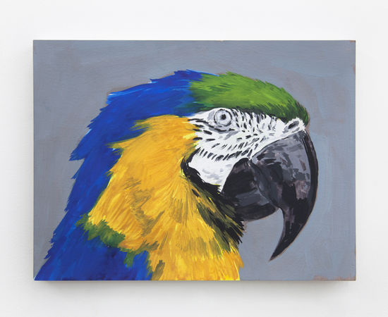 Rafael Alonso, Arara estéril , 2020