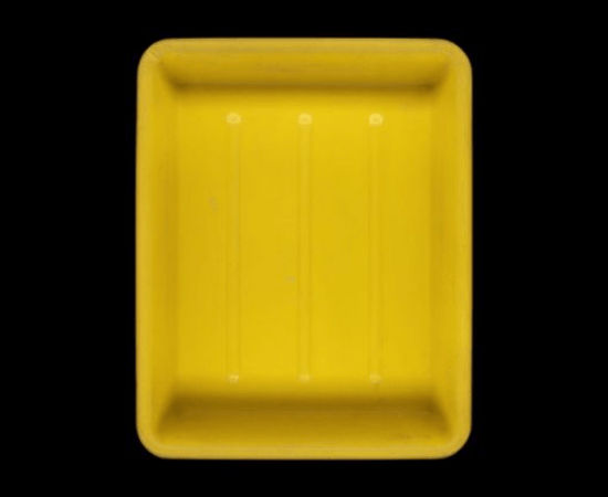 PHILIPPE GRONON, Cuvette de développement n°15, Paris, 2020