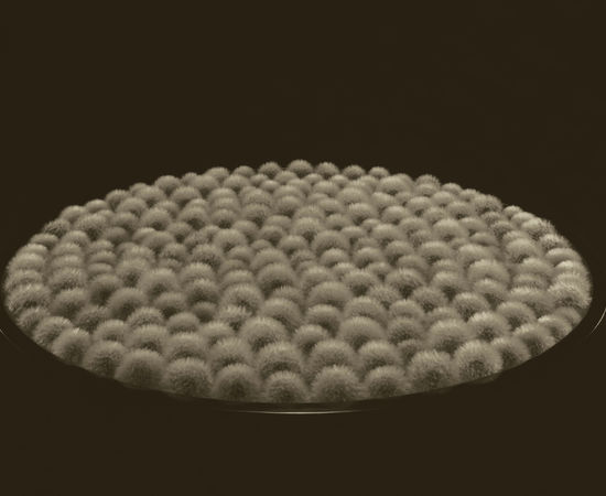 Ryuji Taira, 200 Two Hundred, 2014