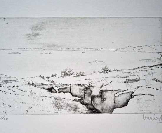 Joan Barbarà, Visió des del Puig de Molins , 1949-2008