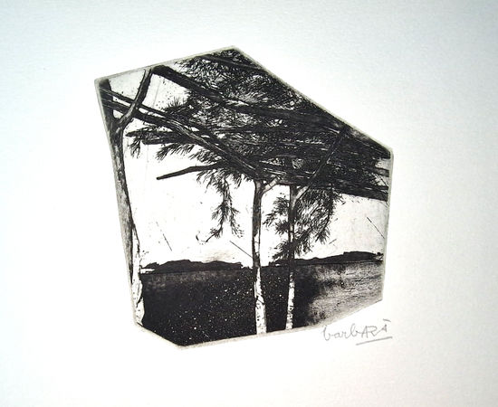 Joan Barbarà, Coberta d'Estelons (Publicado en Eivissa), 1949-2008