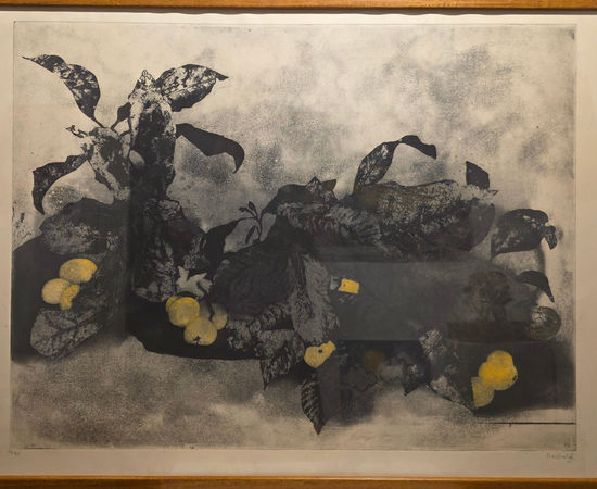 Joan Barbarà, Les Llimones, 1990s