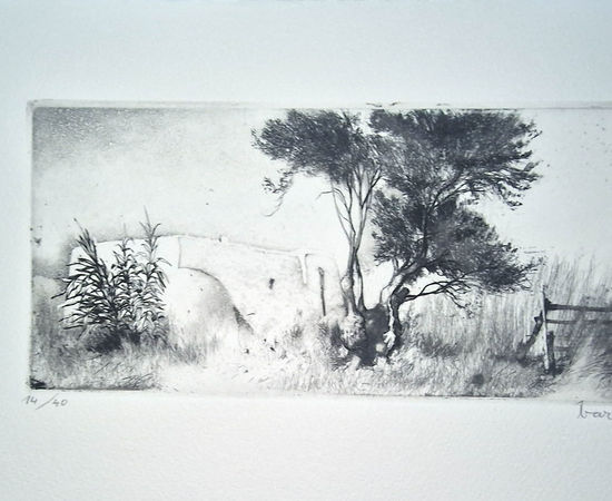 Joan Barbarà, Propses Feixes (Publicado en Eivissa), 1949-2008