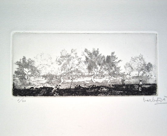 Joan Barbarà, Camí a Pormany, 1949-2008