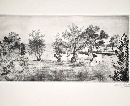 Joan Barbarà, Camí (Publicado en Eivissa), 1949-2008