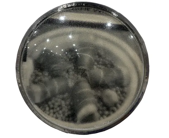 Thomas Mailaender, Les lentilles, 2025